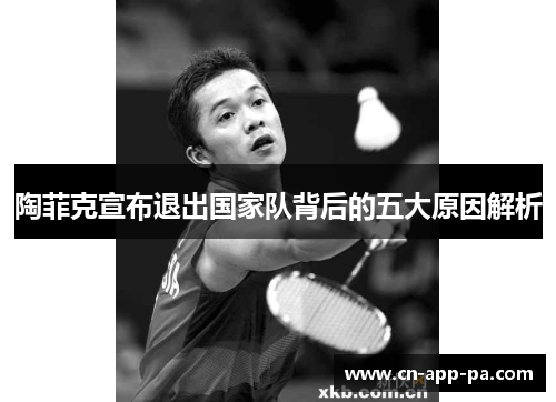陶菲克宣布退出国家队背后的五大原因解析