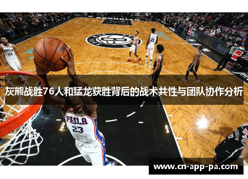 灰熊战胜76人和猛龙获胜背后的战术共性与团队协作分析