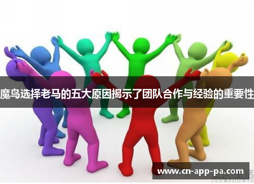 魔鸟选择老马的五大原因揭示了团队合作与经验的重要性 魔鸟选择老马的五大原因揭示了团队合作与经验的重要性