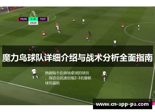 魔力鸟球队详细介绍与战术分析全面指南 魔力鸟球队详细介绍与战术分析全面指南