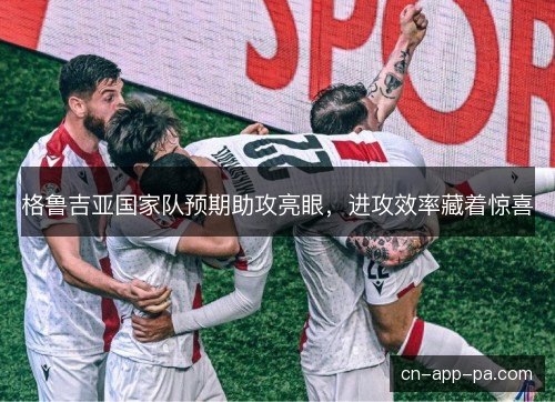 格鲁吉亚国家队预期助攻亮眼，进攻效率藏着惊喜